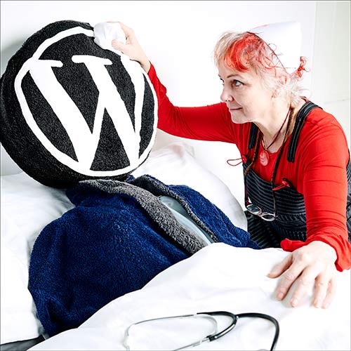 learn a solid, tested routine for WordPress Care