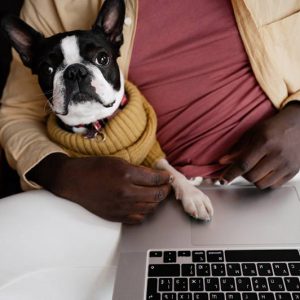 Man and dog with a laptop to illustrate caring for wordpress online course